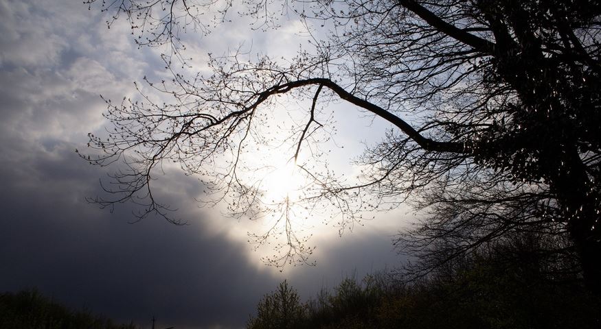 Κύκλος Μπραμς (II)