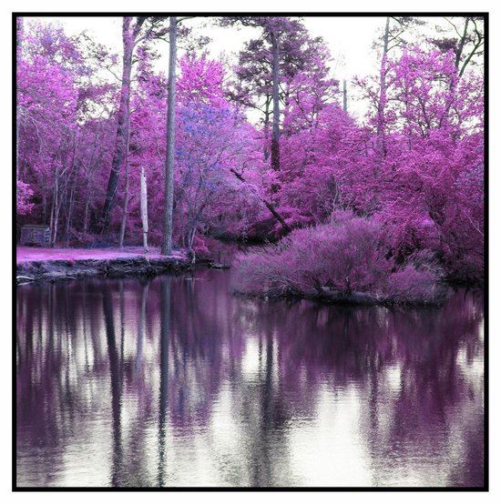 Ήχοι του πάθους-Σλάβικη Ψυχή V 